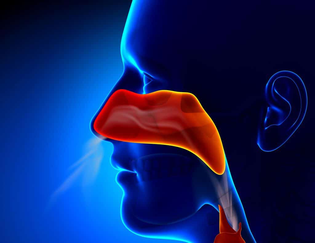 از بین رفتن حس بویایی در اثر ویروس کرونا 